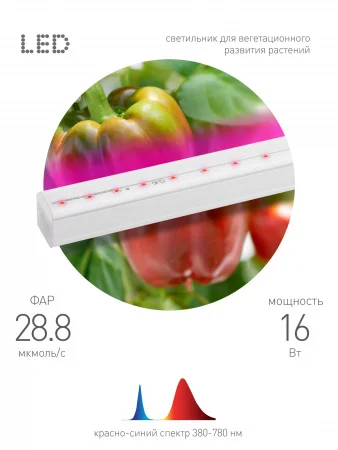 Б0045233 Линейный светильник красно-синего спектраFITO-16W-Т5-N (30/840) ЭРА 
