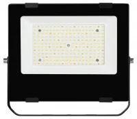Прожектор светодиодный для цветения и плодоношения FITO-50W-Ra90-LED (10/300) ЭРА Б0047875