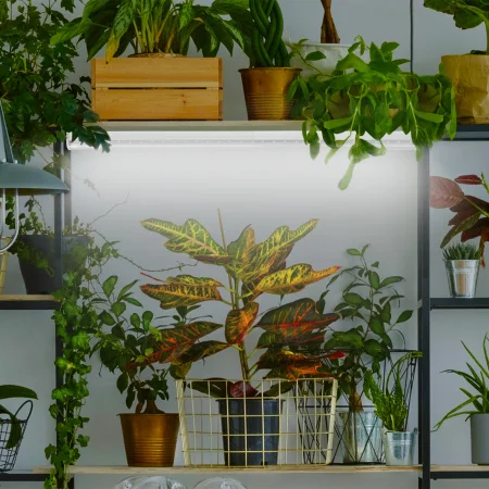 Б0042987 Лампа светодиодная полноспектральная Т8 с красными и белыми светодиодами для профессионального выращивания растений FITO-18W-Ra90-Т8-G13-NL ЭРА 