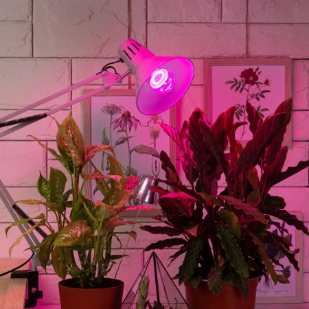 Б0050600 Лампа для растений FITO-10W-RB-E27 ЭРА 