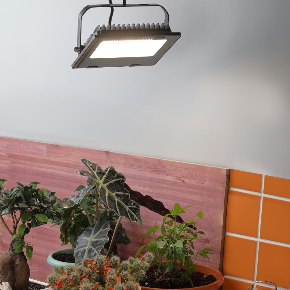 Прожектор светодиодный для цветения и плодоношения FITO-50W-Ra90-LED (10/300) ЭРА Б0047875