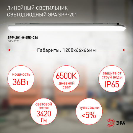 Светильник светодиодный линейный IP65 36Вт 3420Лм 6500К 1200мм мат SPP-201-0-65K-036 ЭРА Б0047175