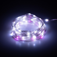 Умная гирлянда RGB, 10 м, ПДУ (управление цветом и режимами), таймер, USB, 100 LED, IP20 ERASG -01 ЭРА Б0060432