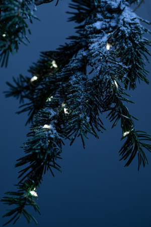 Б0053368 Гирлянда садовая ERASF22-17 Нить на солнечной батарее, холодный свет 21.9 м ЭРА 