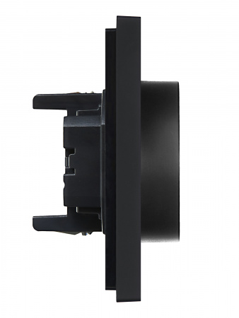 FORTE&PIANO Розетка 2-местная с заземлением без защитных шторок безвинтовое крепление 16А FP124 черный IEK FP-R21-16-1-K02