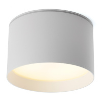 Светильник ДПО GX70 без лампы IP44 белый FERON HL373 48734