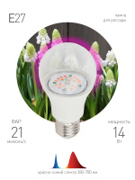 Лампа светодиодная лампа для рассады тип А60, 14 Вт, 220-240V FITO-12W-RB-E27-K ЭРА Б0039071