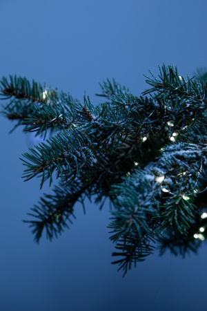 Б0053368 Гирлянда садовая ERASF22-17 Нить на солнечной батарее, холодный свет 21.9 м ЭРА 