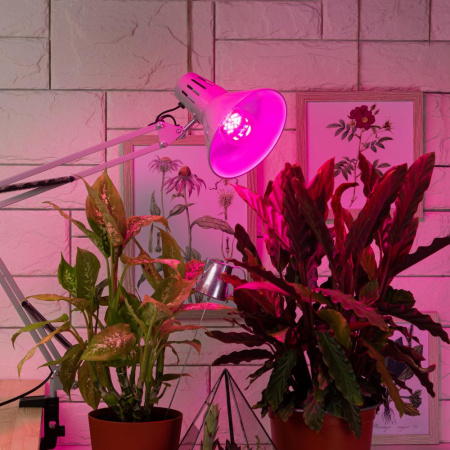 Б0039071 Лампа светодиодная лампа для рассады тип А60, 14 Вт, 220-240V FITO-12W-RB-E27-K ЭРА 