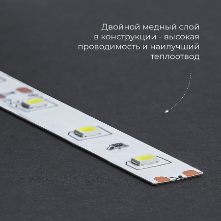 Лента светодиодная LEDх60/м 5м 4.8w/m 12в дневной