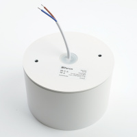 Светильник ДПО GX70 без лампы IP44 белый FERON HL373 48734
