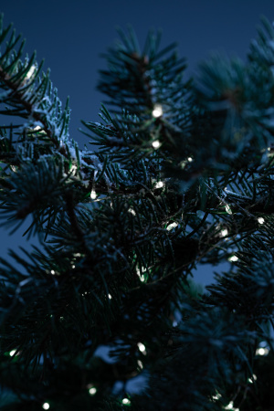 Б0053368 Гирлянда садовая ERASF22-17 Нить на солнечной батарее, холодный свет 21.9 м ЭРА 